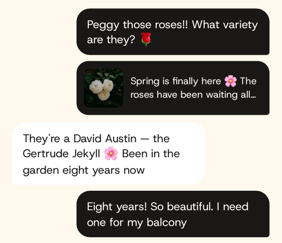 Mirlo chat screen showing a private response to a post